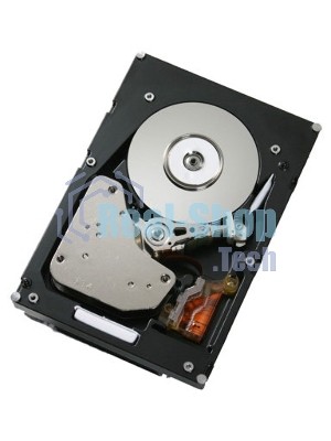 Жесткий диск IBM 300Gb 2Gbs FC E-DDM HDDS 1