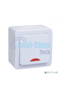 Выключатель 1-кл. ОП ГЕРМЕС PLUS для открытой установки со свет. индик. ВС20-1-1-ГПБ IP54 (цвет клавиши: белый) IEK EVMP11-K01-10-54-EC