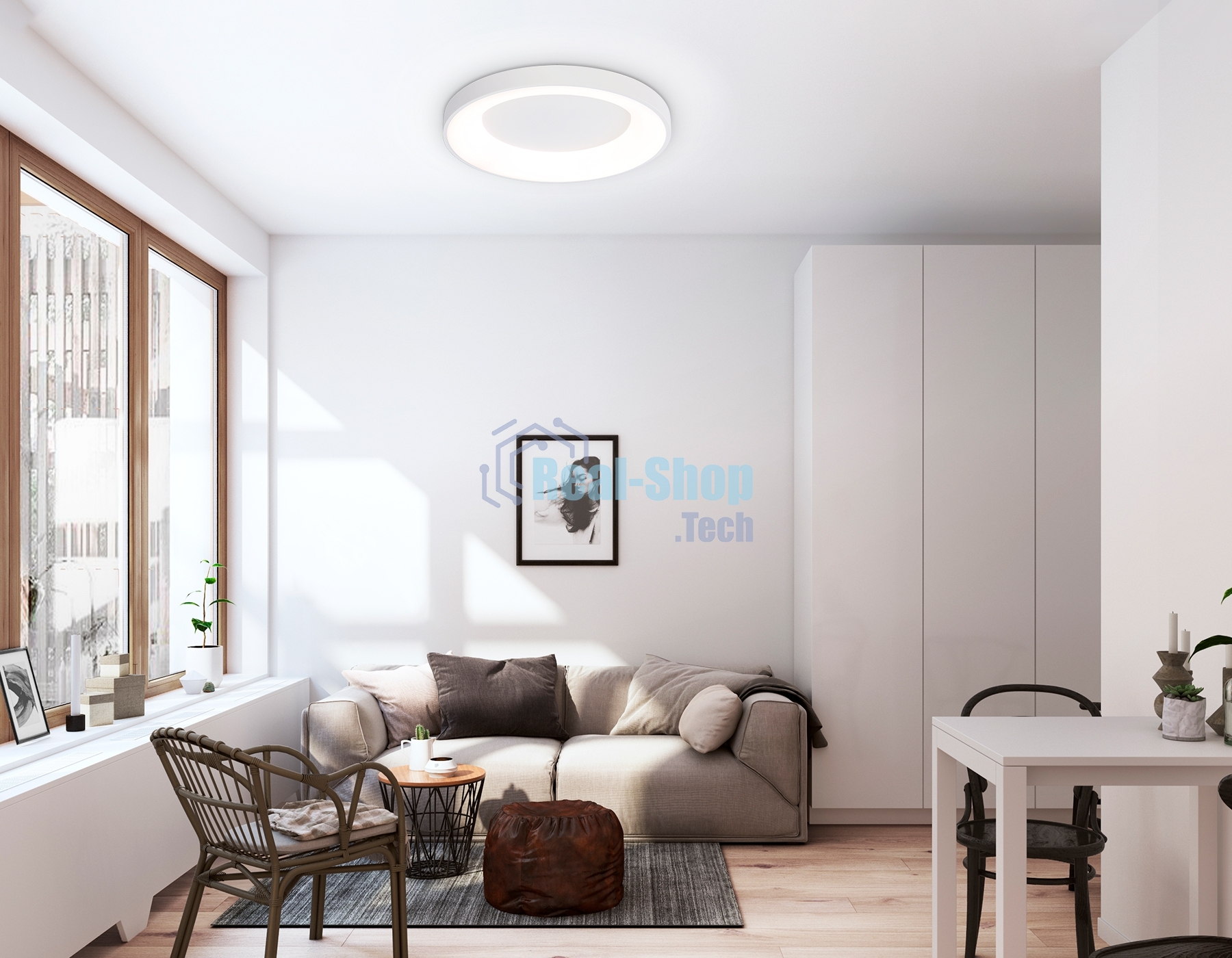 Потолочный светодиодный светильник Ambrella light FZ1401 WH белый IP20 48W 3000K-6500K D500*50 (ПДУ ИК)
