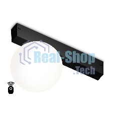 Управляемый светодиодный светильник для шинопровода Magnetic Ambrella light GL1371 BK черный IP20 10W 3000K-6400K 220V 120° D120/232*120*167 (Без ПДУ)