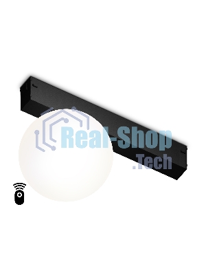 Управляемый светодиодный светильник для шинопровода Magnetic Ambrella light GL1371 BK черный IP20 10W 3000K-6400K 220V 120° D120/232*120*167 (Без ПДУ)