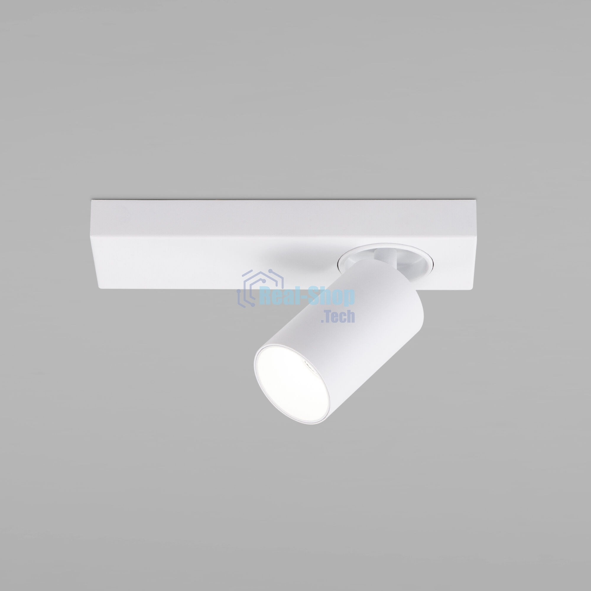 20139/1 LED / настенный светильник / белый