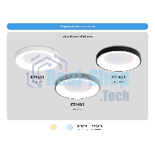 Потолочный светодиодный светильник Ambrella light FZ1401 WH белый IP20 48W 3000K-6500K D500*50 (ПДУ ИК)