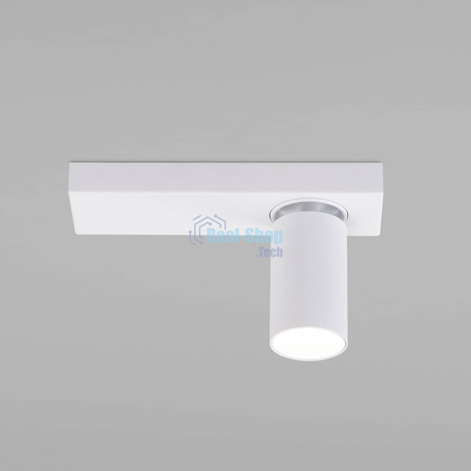 20139/1 LED / настенный светильник / белый