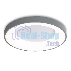 Потолочный светодиодный светильник Ambrella light FZ1402 GR серый IP20 48W 3000K-6500K D500*50 (ПДУ ИК)