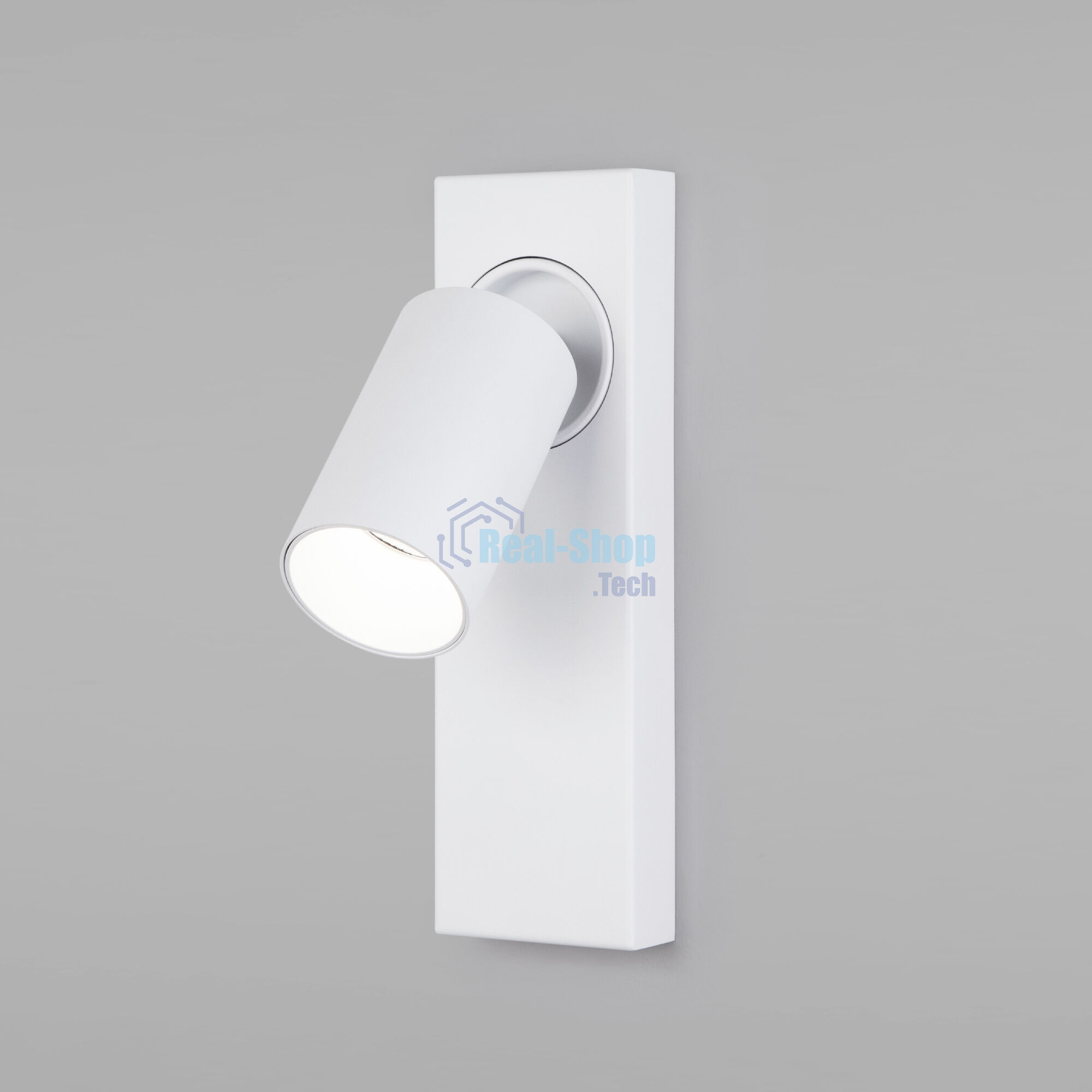 20139/1 LED / настенный светильник / белый