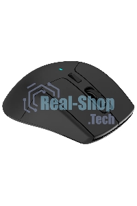 Мышь беспроводная Acer OMR150 черный, 1600 dpi, радиоканал, USB, кнопки - 6