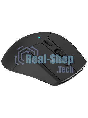 Мышь беспроводная Acer OMR150 черный, 1600 dpi, радиоканал, USB, кнопки - 6