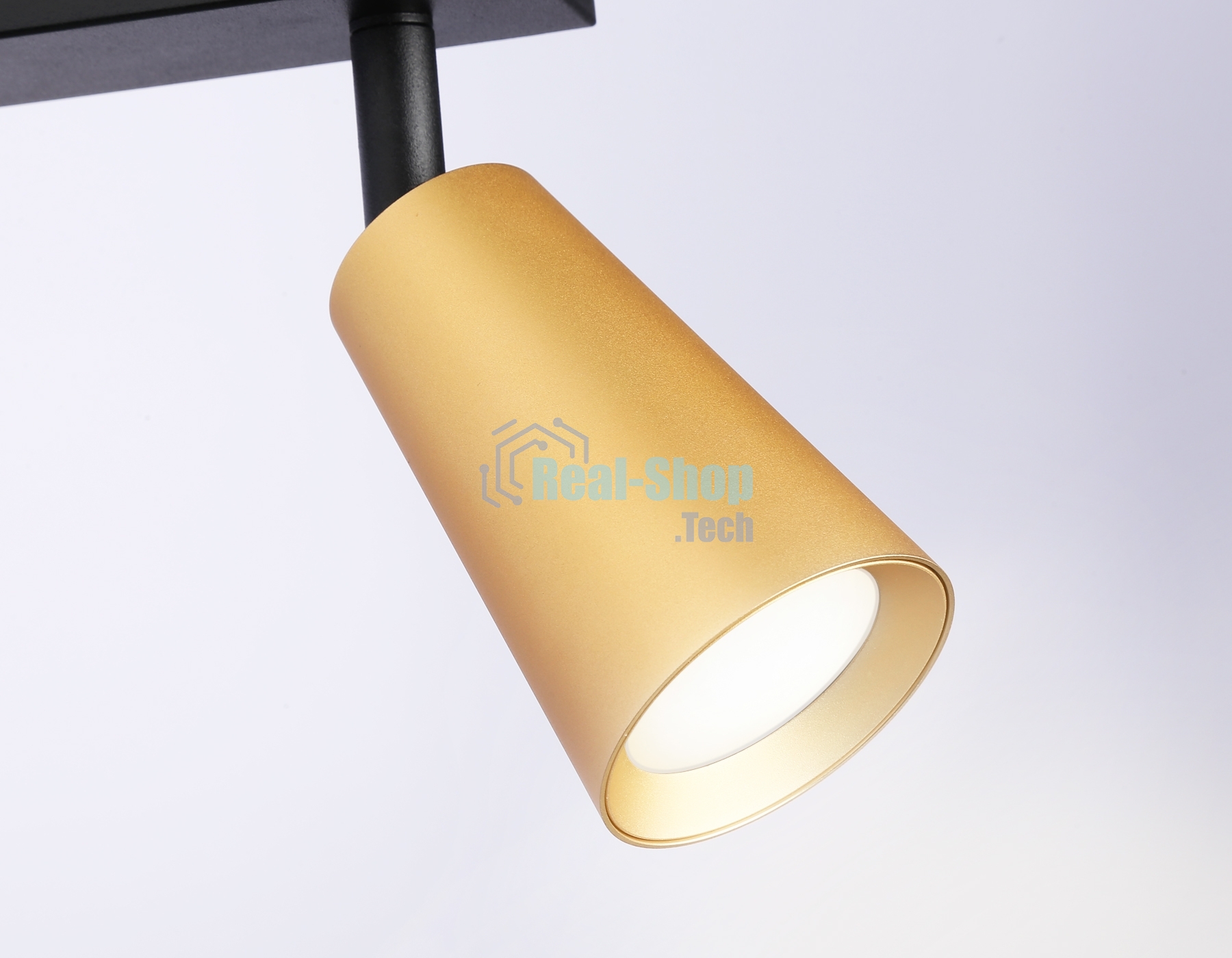 Накладной поворотный спот Ambrella light TA13146/2 BK/GD черный/золото GU10/2 max 12W 295*60*130