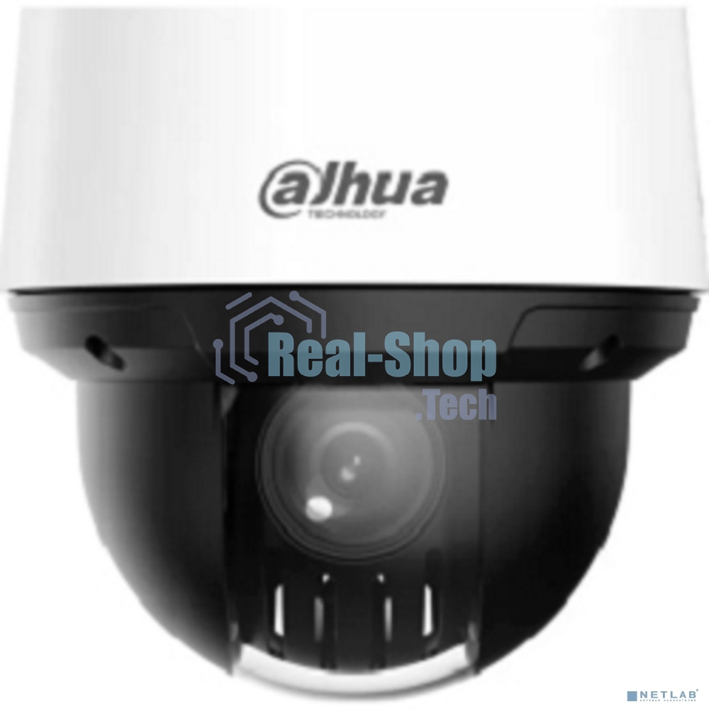 Уличная мини-PTZ IP-видеокамера Dahua DH-SD4A216DB-HNY 2Мп, 1/2.8” CMOS, моторизованный объектив 5~80мм (16x), видеоаналитика, IP66