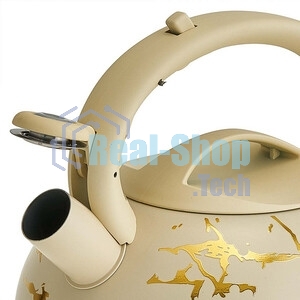 Чайник ALPENKOK AK-541 3 л