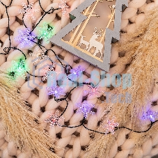 Гирлянда светодиодная Neon-night 