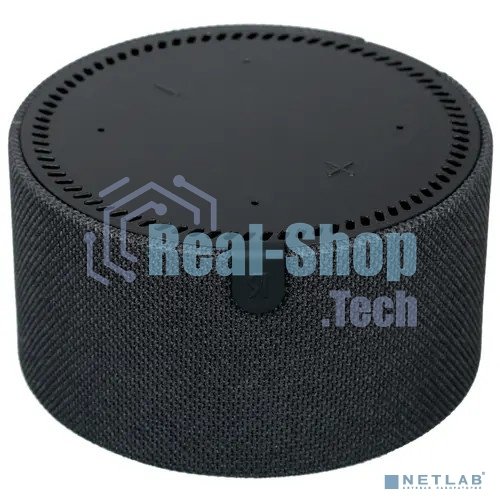 Умная колонка Яндекс Станция Мини, 10Вт, с голосовым ассистентом Алиса на YaGPT, с LED-часами, черный