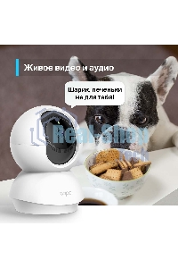 Видеокамера IP TP-Link Tapo C210 100-1000мм цветная