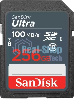 Флеш карта SDXC 256Gb UHS-I SDSDUNR-256G-GN3IN SANDISK