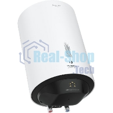 Накопительный водонагреватель Timberk SWH RE19 100 V сухой ТЭН