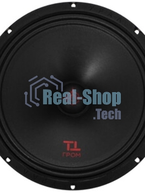 Колонки автомобильные Ural ТТ 250 ГРОМ (без решетки) 98.5дБ 4Ом 25 см (10 дюйм) (ком.: 2кол.) среднечастотные однополосные