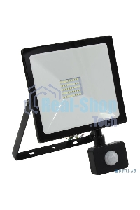 Светодиодный (LED) прожектор FL Sensor Smartbuy-30W/6500K/I65