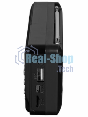 Радиоприемник PERFEO (PF_D0566) PALM, черный