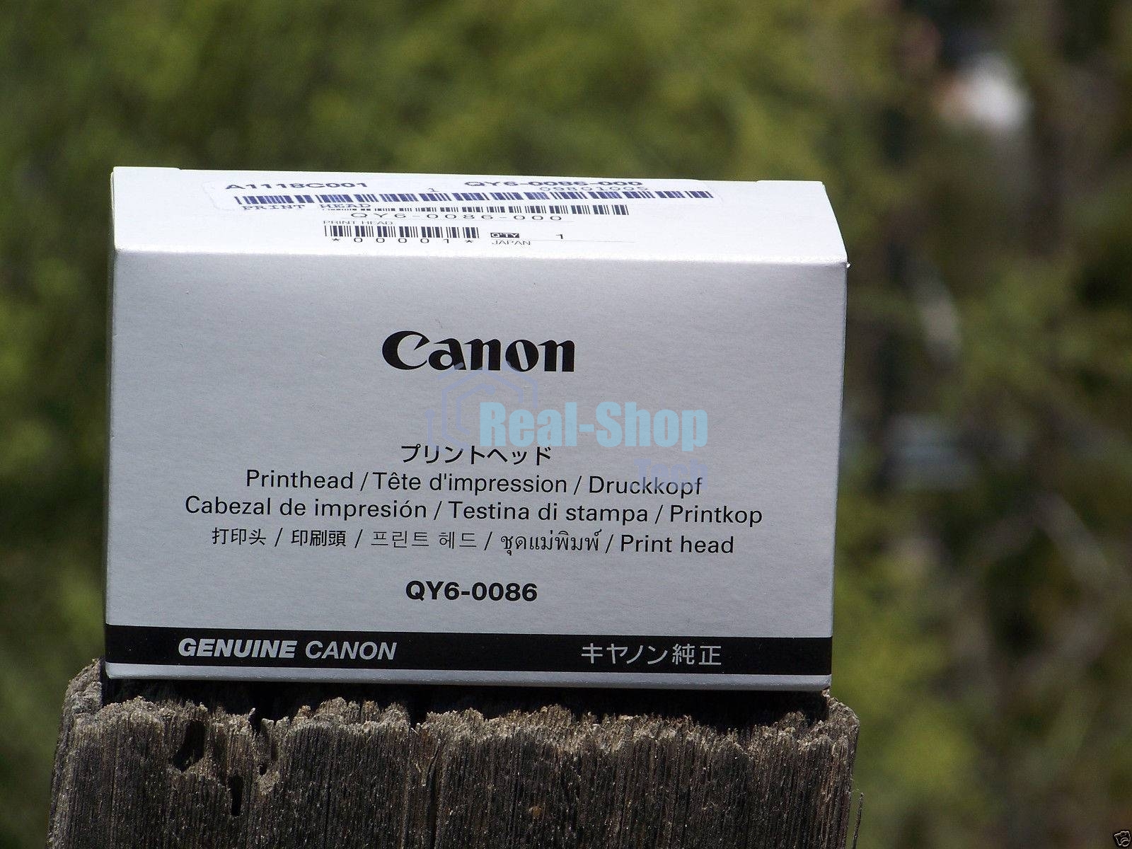 Печатающая головка CANON iP6840/iX6840 (QY6-0086)