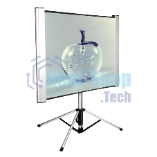 Экран Cactus 102x180 см TriAlExpert CS-PSTALE-180X102 16:9 напольный рулонный