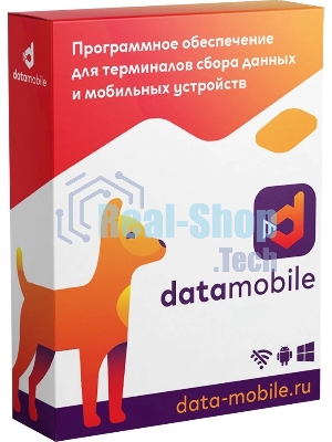 Программное обеспечение Неискл. право на исп-ие DataMobile версия Стандарт LifeTime (DM)