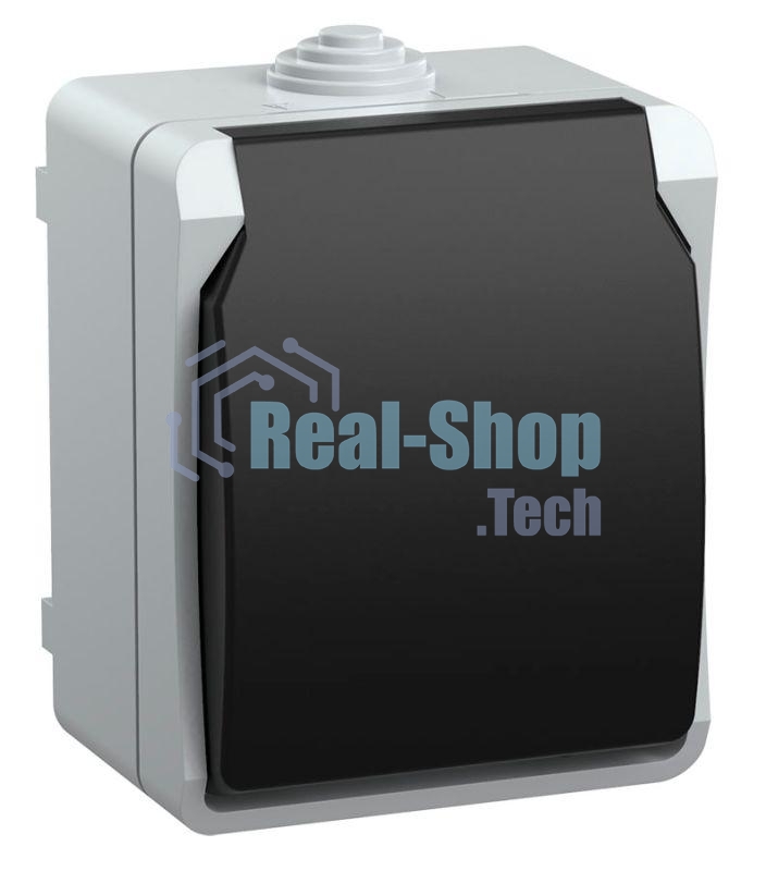 Розетка ИЭК Форс РСб20-3-ФСр1м с/з открытой установки