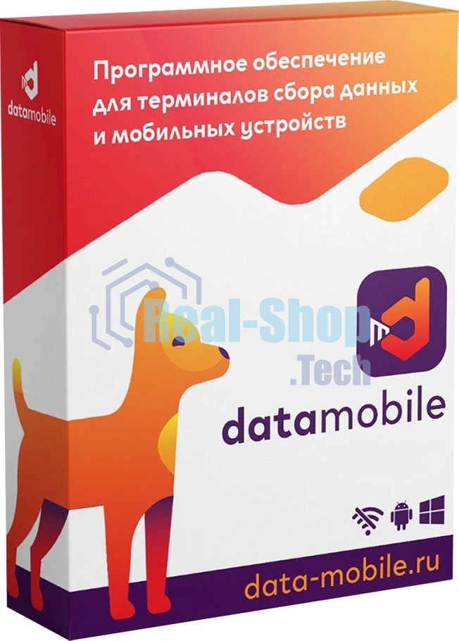 Программное обеспечение Неискл. право на исп-ие DataMobile версия Online Lite подписка на 12г (DMONLINELITE12M)