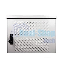 Шкаф уличный всепогодный настен. 9U (600х300), передняя дверь вент. (ШТВ-Н-9.6.3-4ААА)