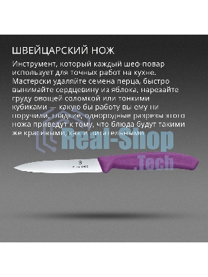 Нож кухонный Victorinox Swiss Classic (6.7705.C1) для овощей лезв. 100 мм прямая заточка пурпурный