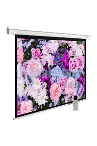 Экран Cactus 315x420 см MotoExpert CS-PSME-420x315-WT 4:3 настенно-потолочный рулонный белый (моторизованный привод)