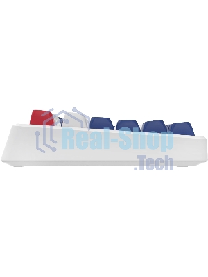 Клавиатура Oklick 725G проводная, USB Type-A, белый/красный