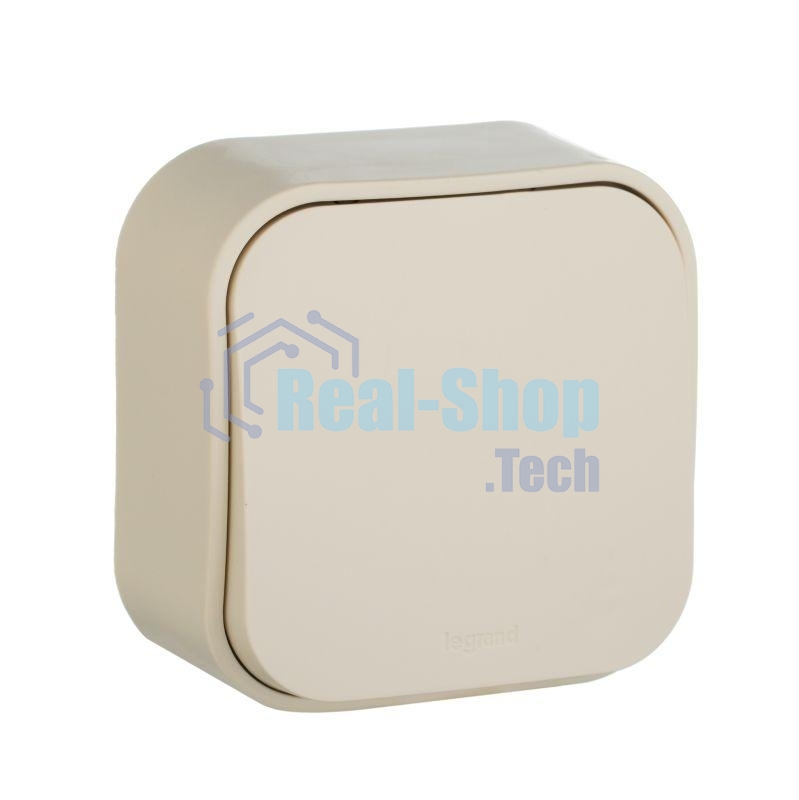 Выключатель 10A 1-клав., сл. кость Quteo