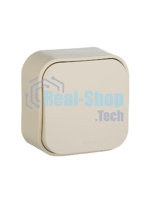 Выключатель 10A 1-клав., сл. кость Quteo