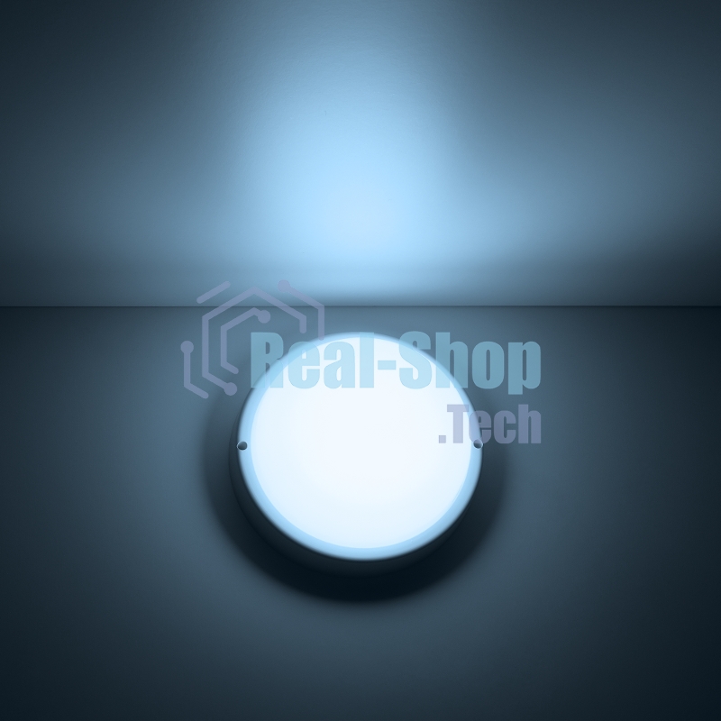 Светильник светодиодный GAUSS 126411312 IP65 D160x53 12W 980lm 6500K ЖКХ круглый 1/40