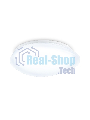 Потолочный светодиодный светильник Ambrella light FZ1601 FR матовый IP20 40W 5000K 410*100 (Без ПДУ)