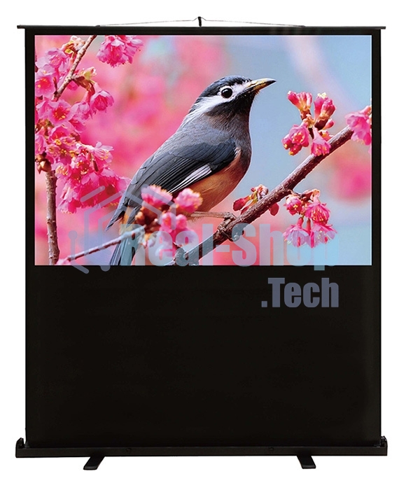 Экран Cactus 90x120 см FloorCompactExpert CS-PSFLCE-120X90 4:3 напольный рулонный