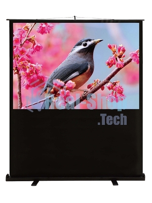 Экран Cactus 90x120 см FloorCompactExpert CS-PSFLCE-120X90 4:3 напольный рулонный