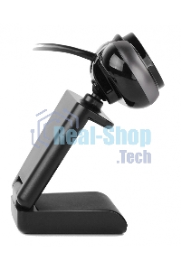 Веб-камера A4Tech Камера Web A4 PK-920H серый 2Mpix (1920x1080) USB2.0 с микрофоном 1405146