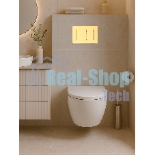 Инсталляция с унитазом комплект BAU IDEAL 6 в 1: унитаз подвесной безободковый торнадо Bau Hotel 53х36, быстросъемное сиденье микролифт, кнопка смыва BAU Lightзолото