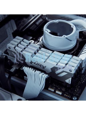 Оперативная память Kingston Fury Renegade, DDR5, 32Gb (1x32Gb), 6400MHz, CL32, DIMM, радиатор, белый