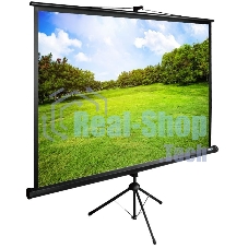 Экран Cactus 150x200 см TriExpert CS-PSTE-200х150-BK 4:3 напольный рулонный