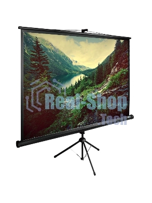 Экран Cactus 220x220 см TriExpert CS-PSTE-220х220-BK 1:1 напольный рулонный