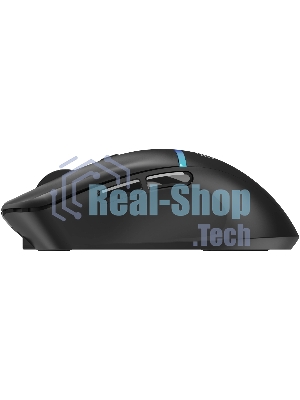 Мышь беспроводная Oklick 775GW черный, 5000 dpi, радиоканал, Bluetooth, USB, кнопки - 6
