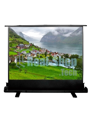 Экран Cactus 102x180 см FloorExpert CS-PSFLE-180X102 16:9 напольный рулонный