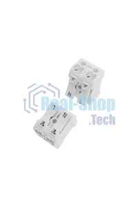 Клемма пружинная соединительная Rexant КСП 2-полюсная (100 шт./уп.)