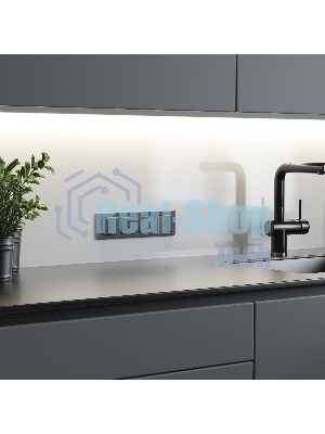 Выключатель двухклавишный WERKEL (графит матовый) W1120064