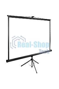 Экран Cactus 200x200 см TriExpert CS-PSTE-200х200-BK 1:1 напольный рулонный