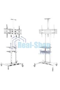 Стойка для телевизора с кронштейном ONKRON TS1881 50