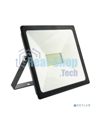 Светодиодный (LED) прожектор FL SMD Smartbuy-50W/6500K/IP65 (SBL-FLSMD-50-65K)